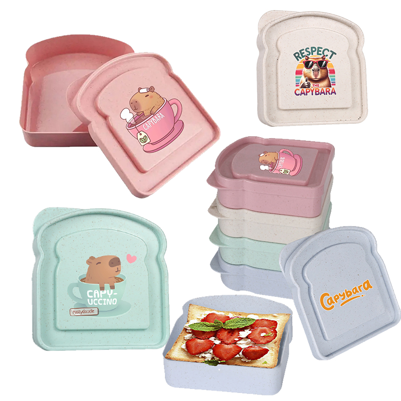Capybara Sandwich Food Storage - Food Storage With Dividers recension och pris